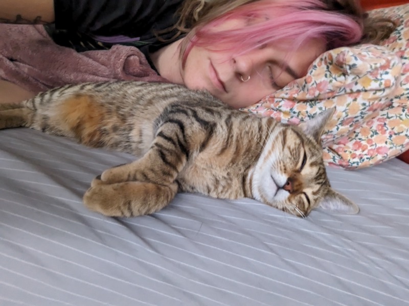 September cat moments