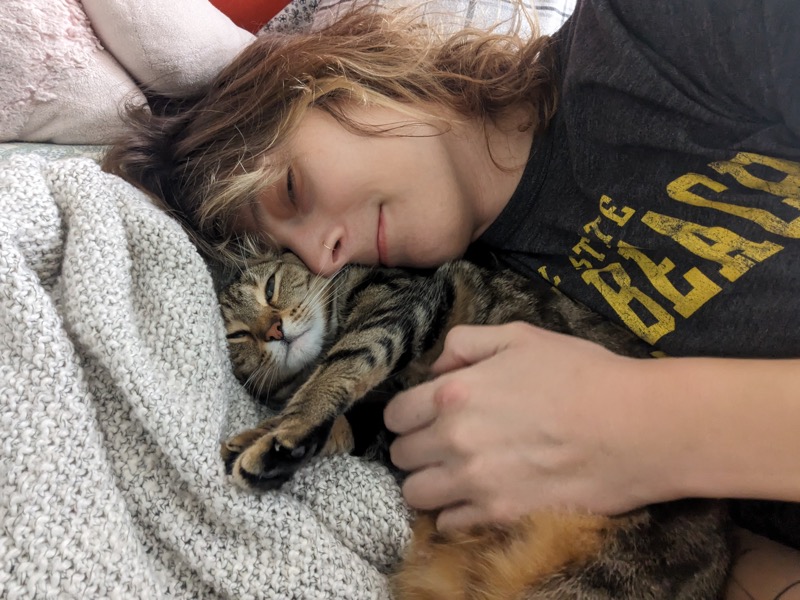 April cat shenanigans